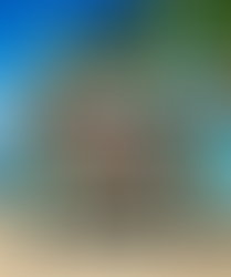 Raccoon Drabbing Christmas Ugly Sweater