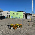 IMG_1955.jpg