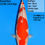 Thumbnail: Dainichi Kohaku Jumbo Tosai NN0069