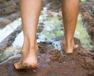 Pieds nus dans les champs