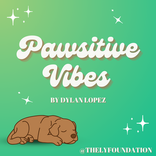 Pawsitive Vibes