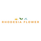 Rhodesia Flower