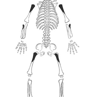 Figure 3.1.jpeg