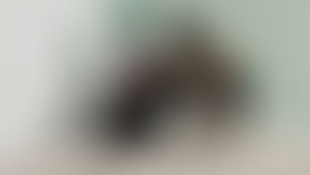 Practical Safety Solutions for Young Workers Entering the Canadian Workforce