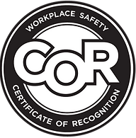 Consultant COR & SECOR Safety Audit