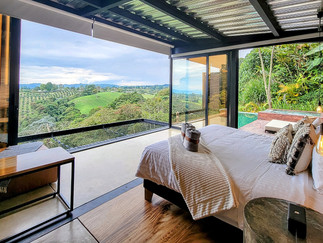 Luxury Bio Habitat Hotel Suite