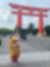 maiko-bus1.jpg