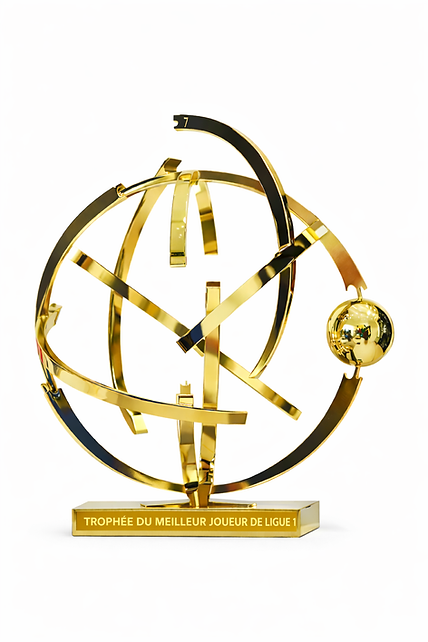 Trophee du Meilleur joueur de Ligue 1.png