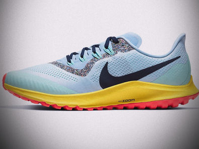 Nike Air Zoom Pegasus