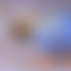 ¿Por qué elegir una agencia certificada Shopify Partner?