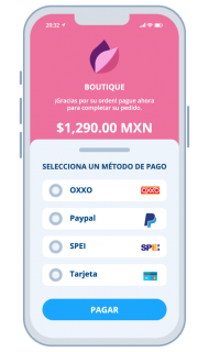 solicitud-de-pago-opciones-190x320_2x.webp