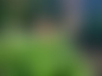 ВІНОЧОК ВИТИ – ЖИТТЯ ЛЮБИТИ