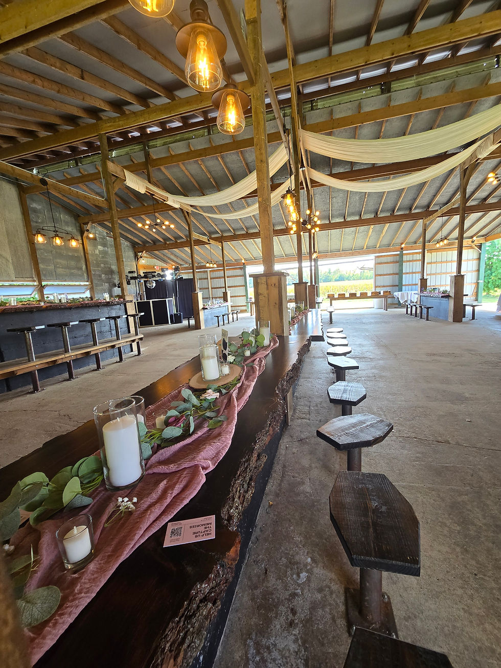 Grand Rapids Wedding Venue, Kalamazoo Wedding Venue, Affordable Michigan Wedding Venue, Michigan Wedding Venue, Micro Weddings