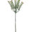 Thumbnail: Pink Gypsophila