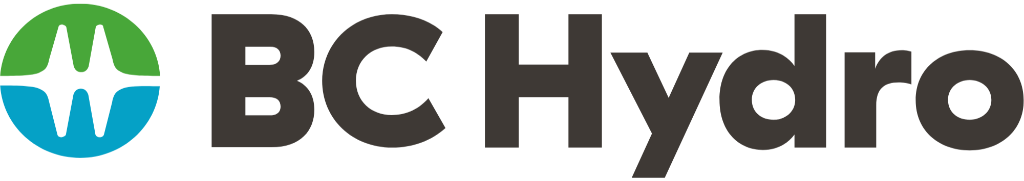 BCH logo_edited.png