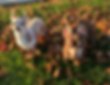 IMG_0711_edited.png