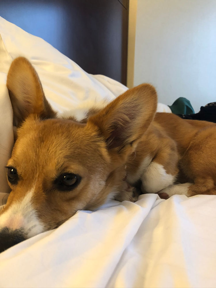 The Good, The Bad, The Ugly