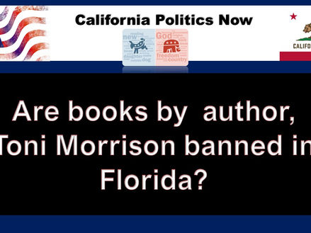 Watch California Politics Now: (Parts 3 & 4) A review of 'The Great Red vs. Blue State Debate