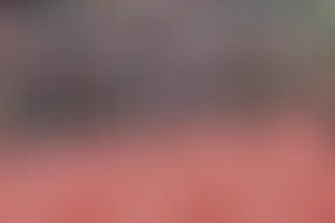 Shericka Jackson beats Sha’Carri Richardson, Thompson-Herah impressive again