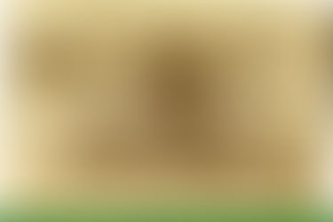 Dehumanization, animalization: inside the terrible world of Swiss human zoos