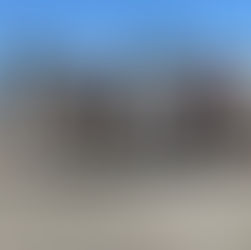 Photos: The Oakland Black Cowboy Association celebrates 50 years