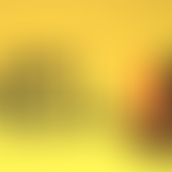 Kwanzaa 2025: Honoring culture, community, and tradition, here are the events happening