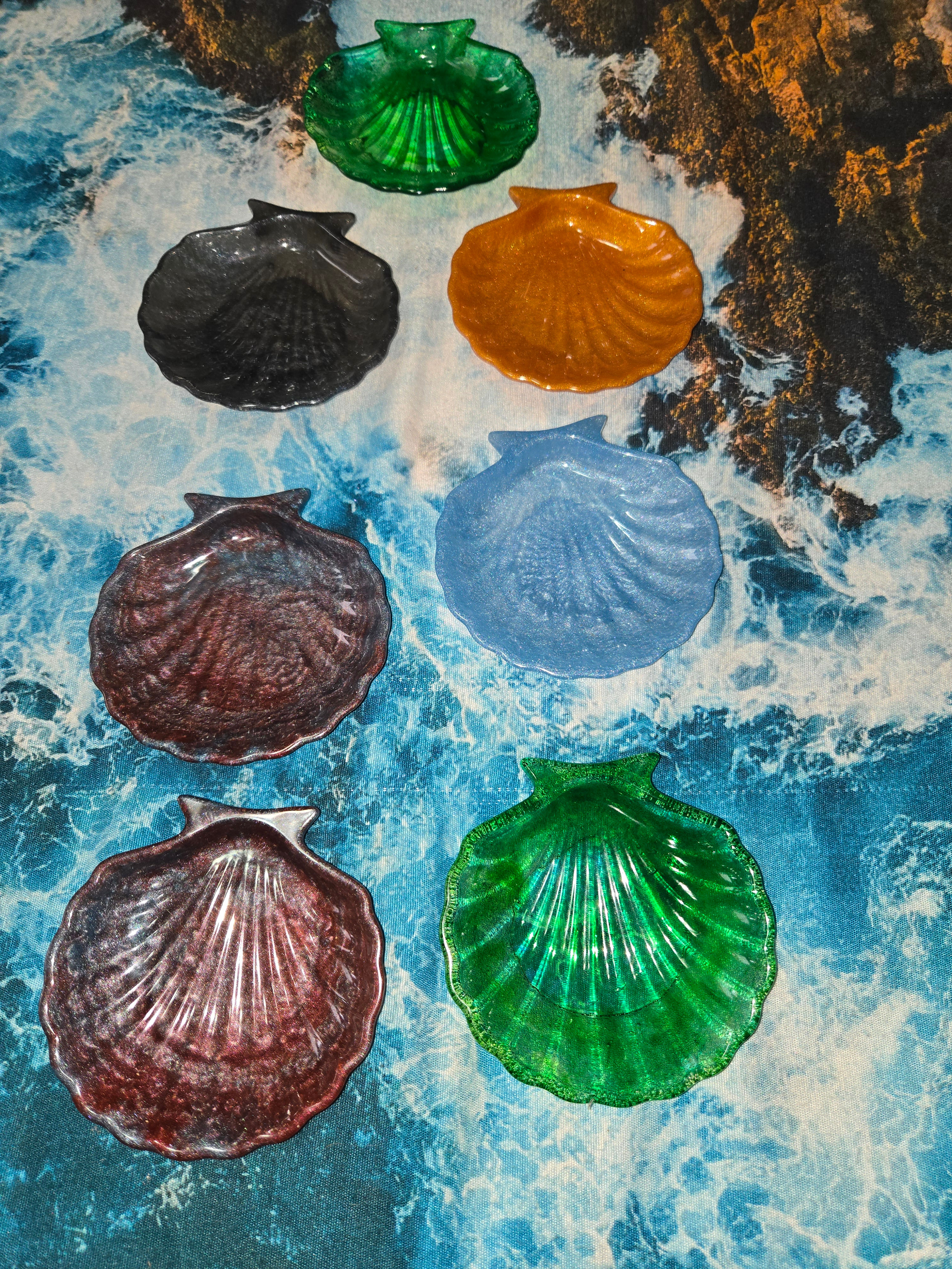 small seashell bowls