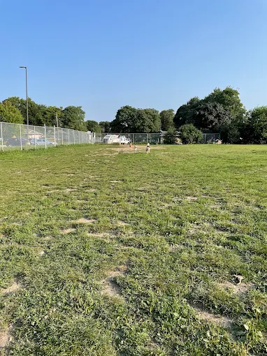 The Aud dog park grass