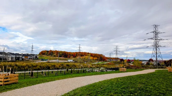 Copper dog park picture