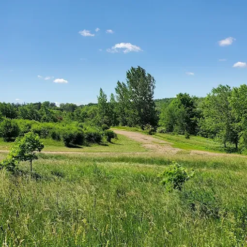 Bechtel park field