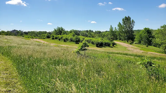 Bechtel dog park