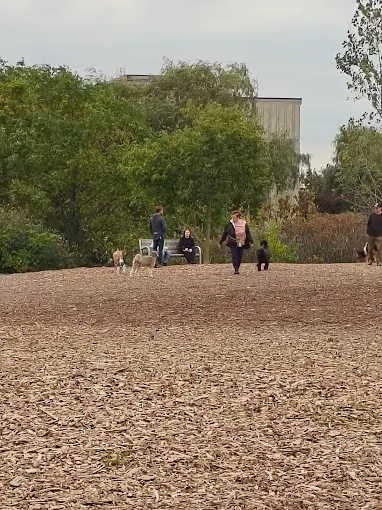 McLennan dog park