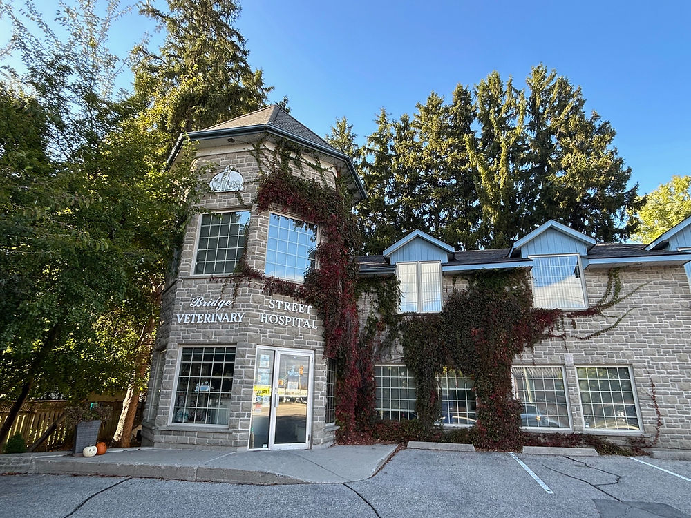 Clinic Exterior