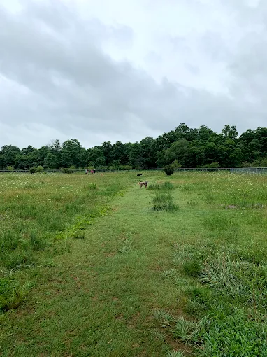 Kiwanis dog park