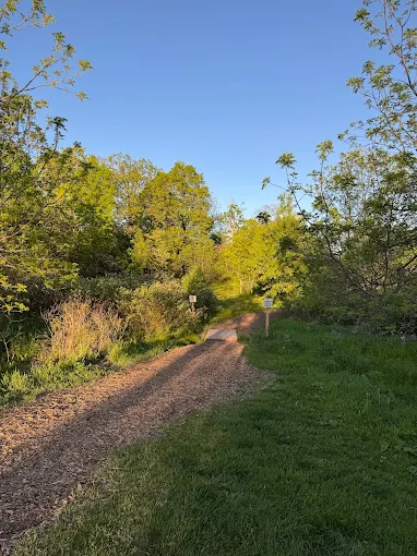 Bechtel park trail