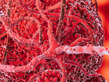 L’inflammasome : l’usine invisible de l’inflammation chronique