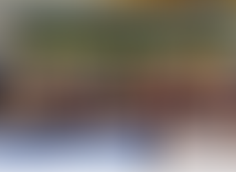 PENEIRA DE BASQUETE FEMININA NO SPORT CLUB