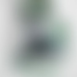 EQUIPE PLUS1 ACADEMY REALIZARÁ NOVA PENEIRA DE BASQUETE PARA 13 A 21 ANOS EM 2022