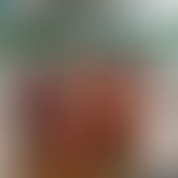 SELETIVA NO RIO DE JANEIRO ATÉ SUB 17