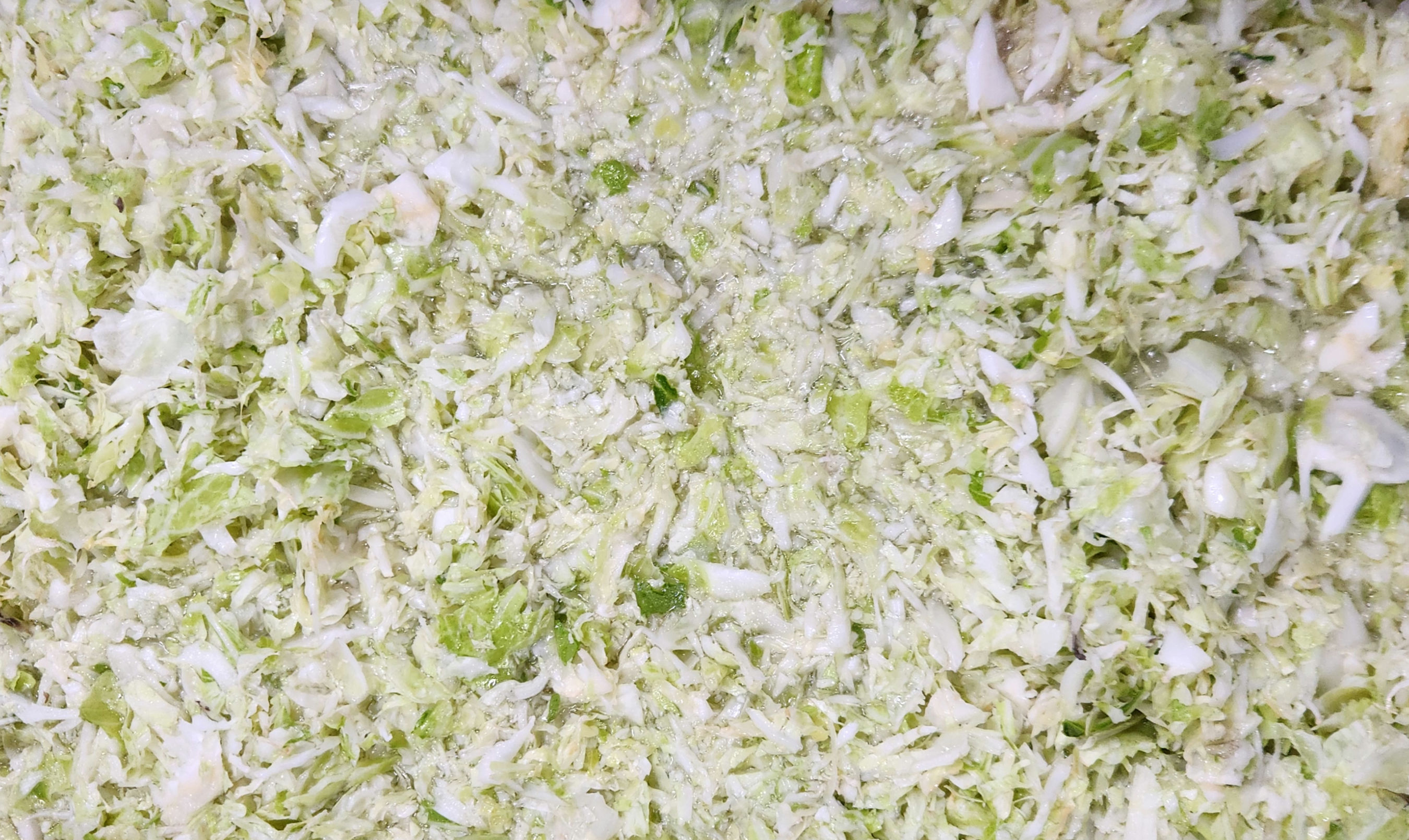 כרוב טבעי 2 קג