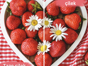 Freeze-Drying vs Traditional Drying