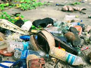 Longer Shelf Life, Less Food Waste