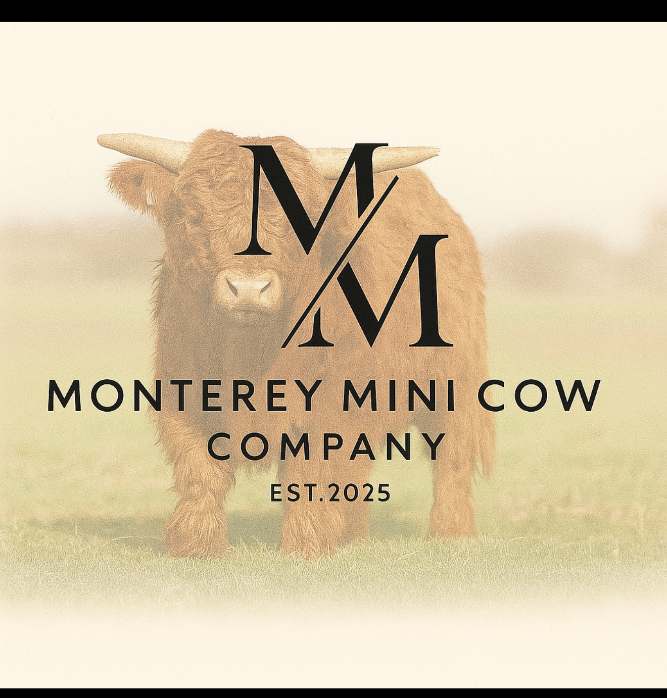 Monterey Mini Cow Company logo