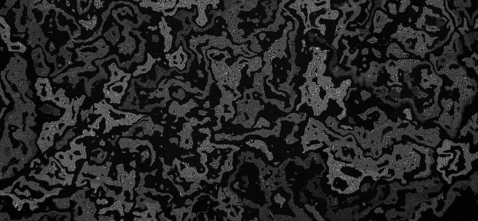 AGS background camo _edited.jpg