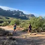 Runners.webp