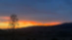 IMG_5072.jpeg