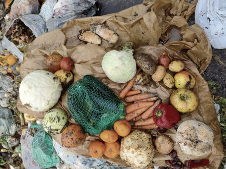Ein Drittel unserer Lebensmittel landen im Müll