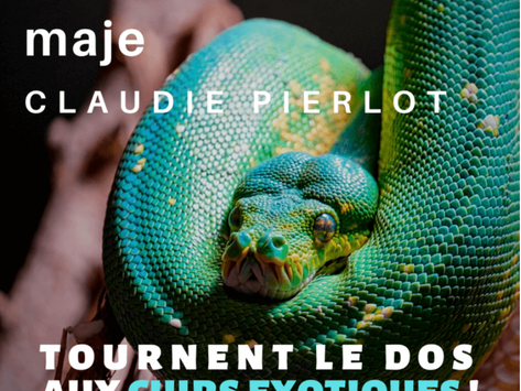 SANDRO, MAJE ET CLAUDIE PIERLOT ARRÊTENT LES CUIRS EXOTIQUES