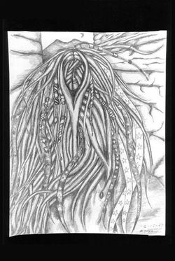 drawings 69