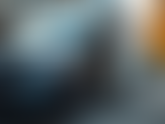 Professional Standards in Mobile Auto Detailing